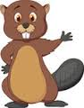 castor