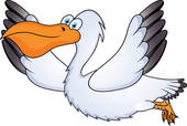 pelican